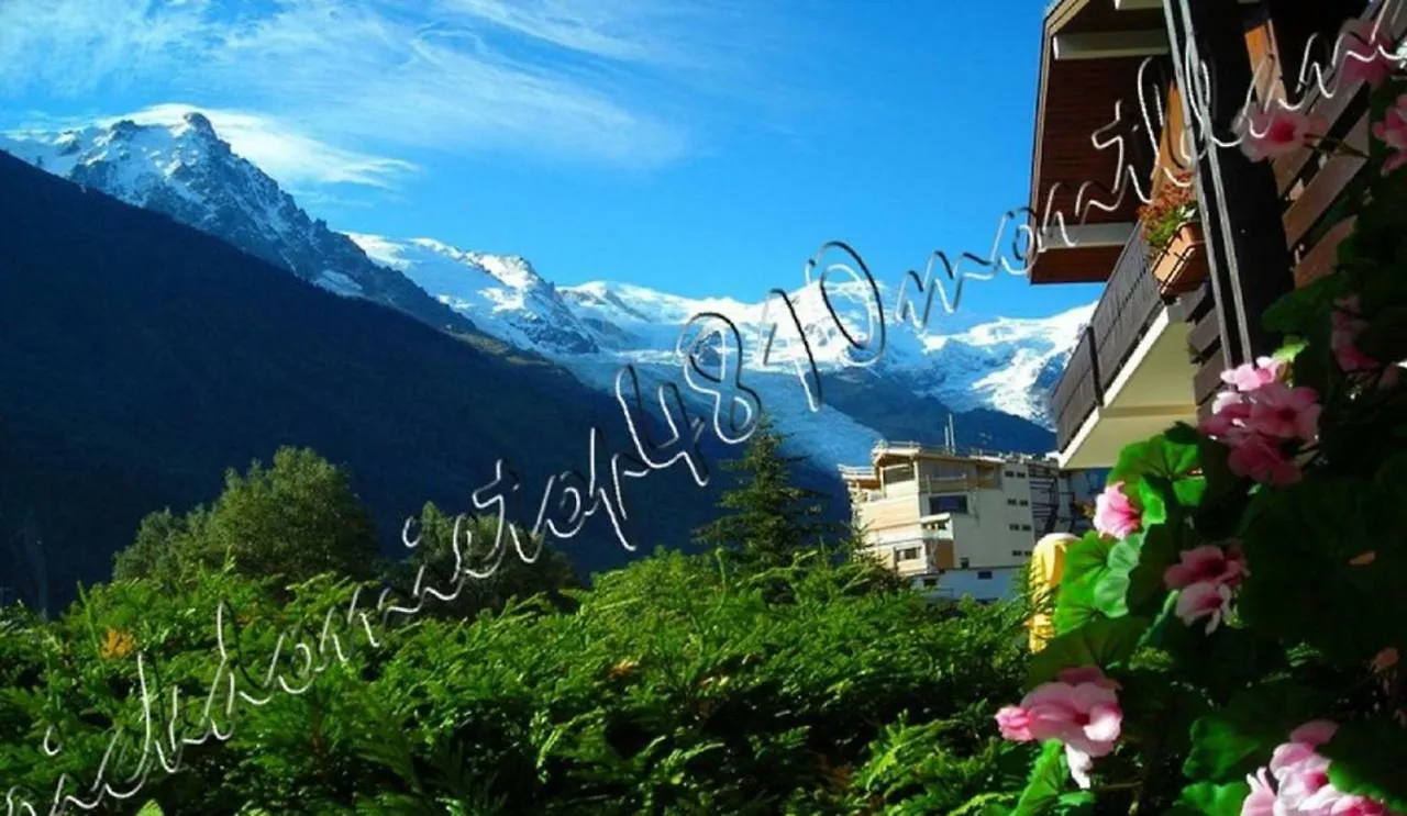 Appartement Top 4810 Mont-Blanc Chamonix