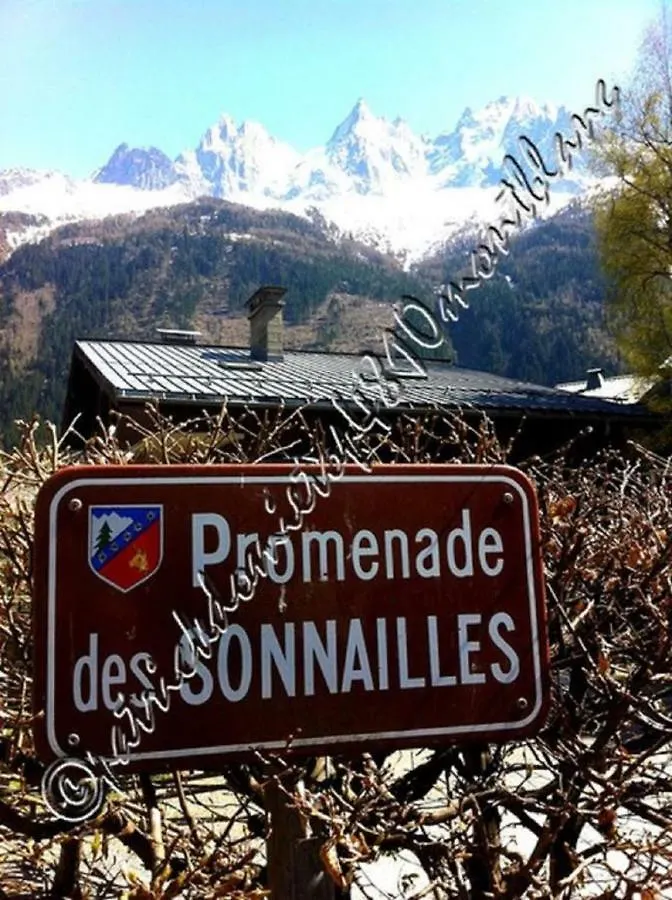 Top 4810 Mont-Blanc Chamonix