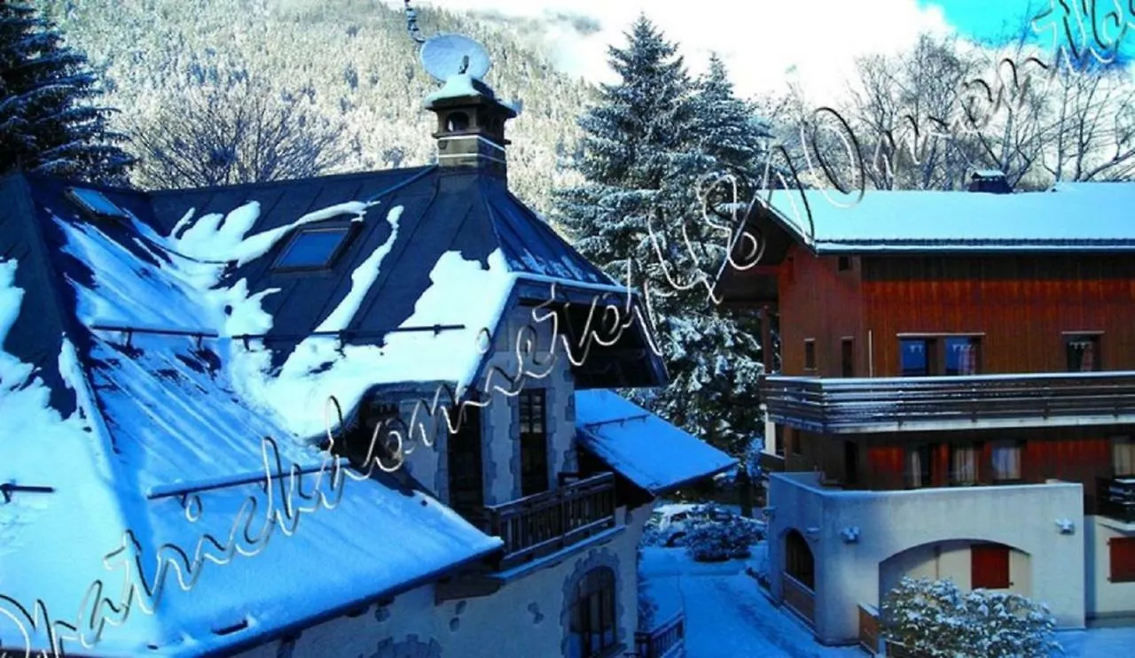 Top 4810 Mont-Blanc Chamonix France