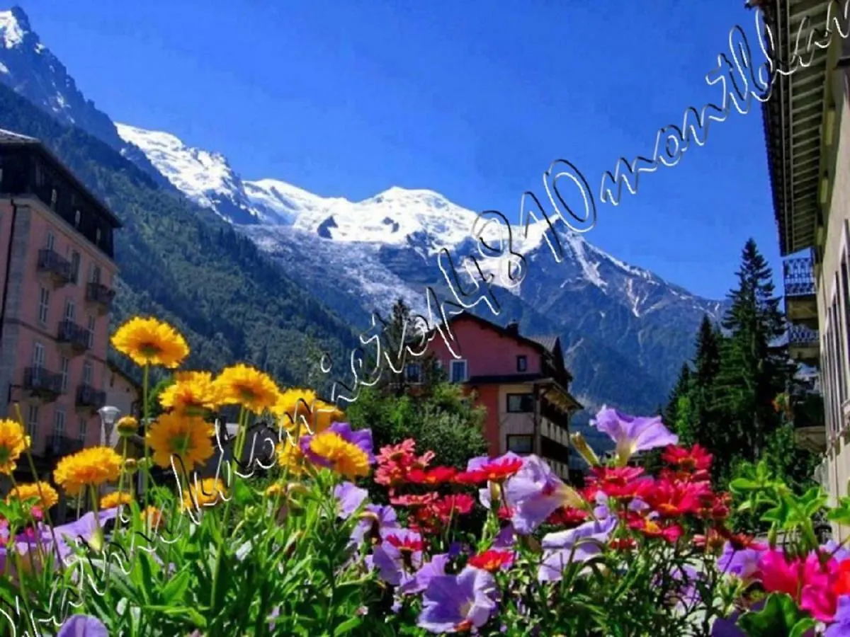Top 4810 Mont-Blanc Chamonix
