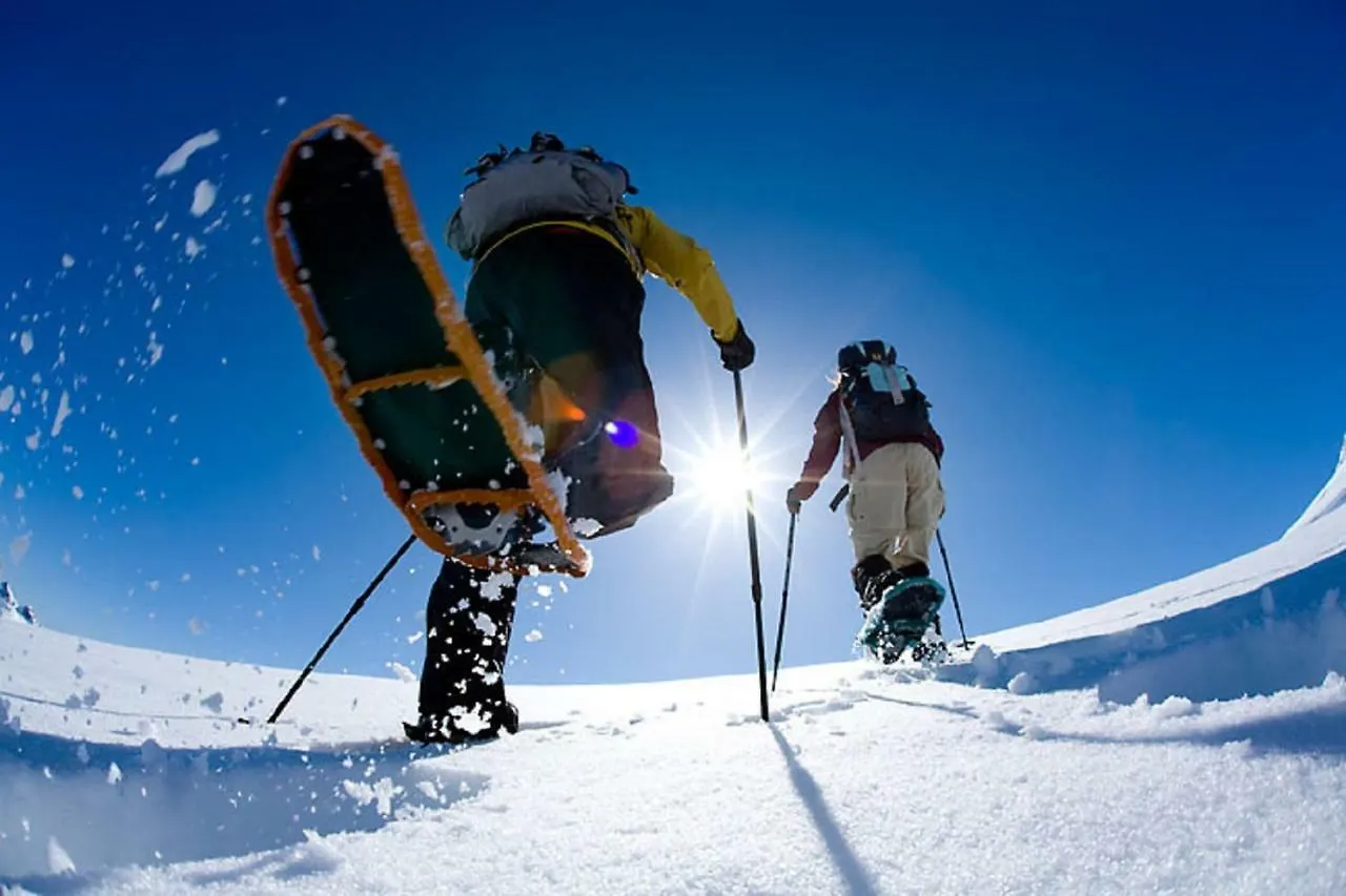 Top 4810 Mont-Blanc Chamonix 0*,  France